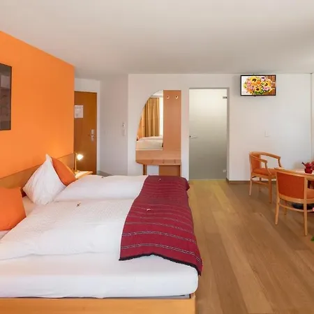 Hotel Alex Business & Spa 4* Naters