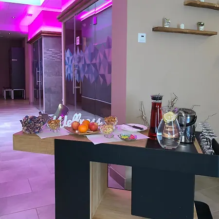 阿莱士商务及spa酒店