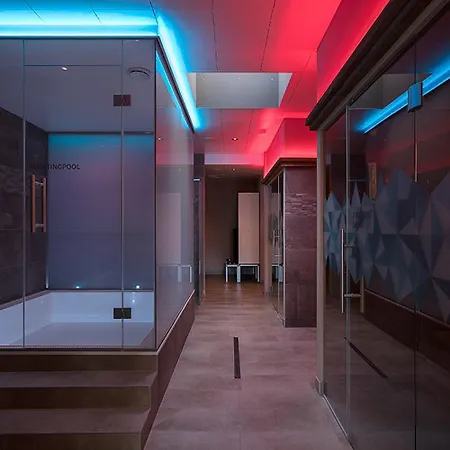 Hotel Hotel Alex Business & Spa Naters