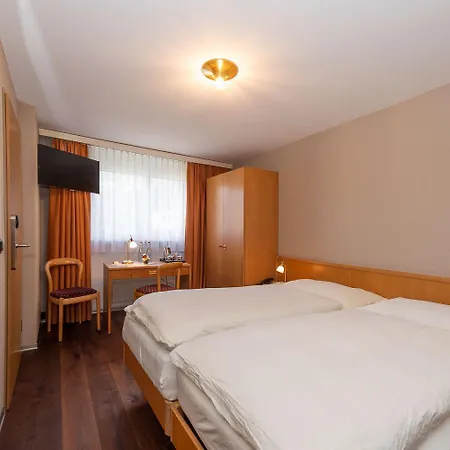 Hotel Alex Business & Spa Naters