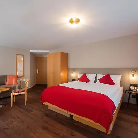 Hotel Alex Business & Spa 4* Naters