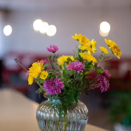 Alex Business&spa 4* Naters