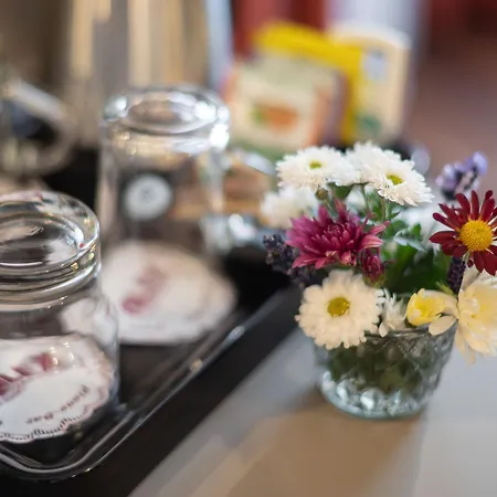 Hotel Alex Business & Spa