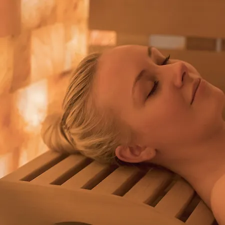 Hotel Alex Business&spa Naters