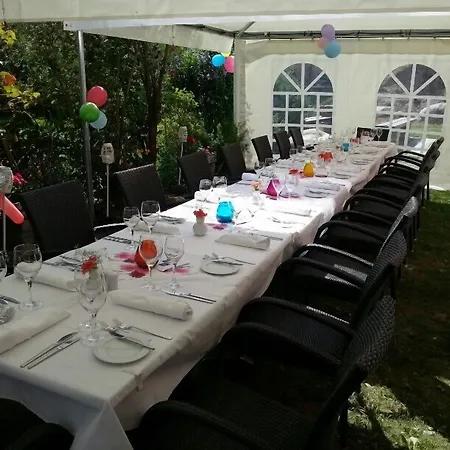 Hotel Alex Business&spa 4*