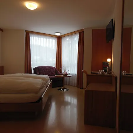 Hotel Alex Business & Spa Naters