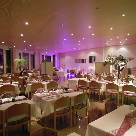 Hotel Alex Business & Spa Hotel Naters