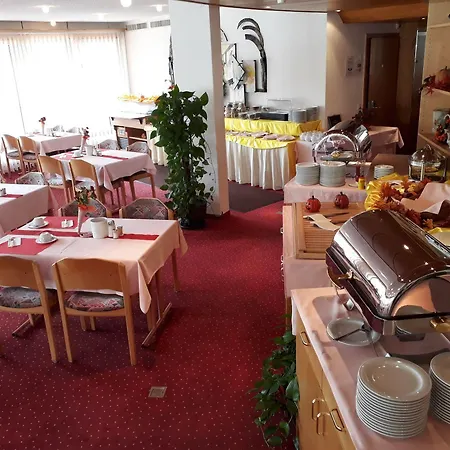 Hotel Alex Business & Spa Hotel Naters