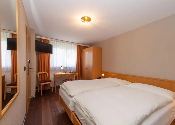 Hotel Alex Business & Spa Naters