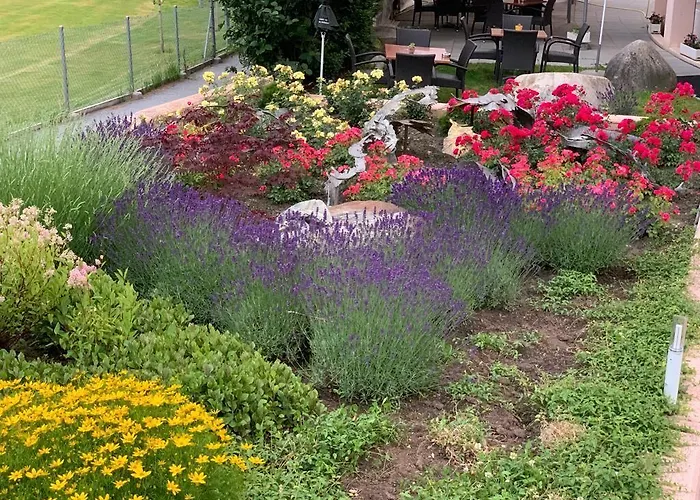 ホテル Alex Business & 4*