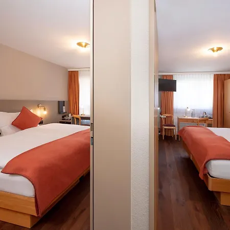 Alex Business & Hotel Naters