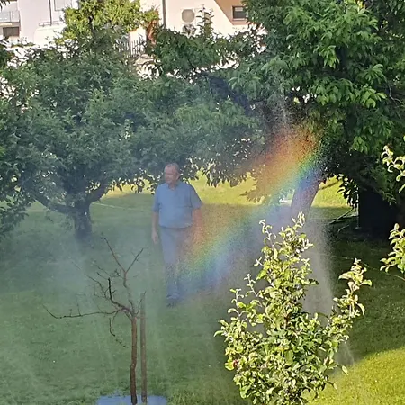 Alex Business & Hotel Naters