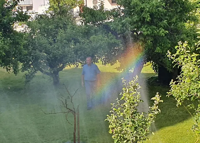 Alex Business & Hotel Naters