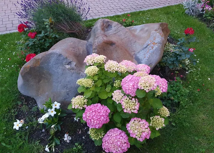 Alex Business & Hotel Naters