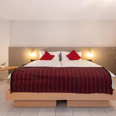 Hotel Alex Business & Naters