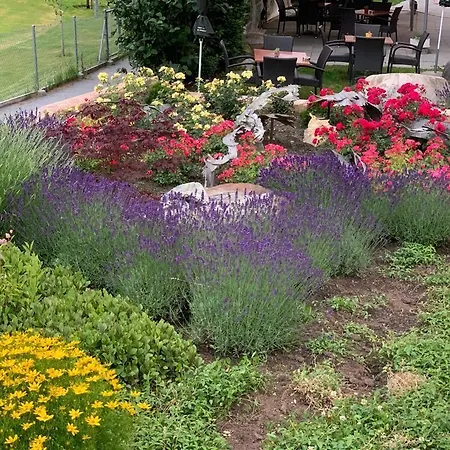 Hotel Alex Business & 4*